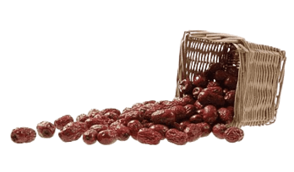 header-logo