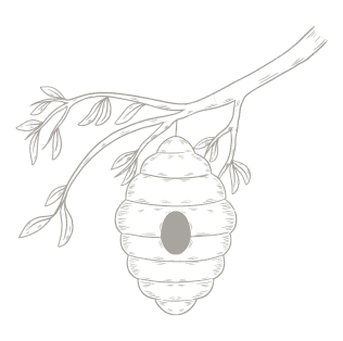 Honey Nest