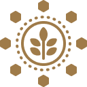 header-logo