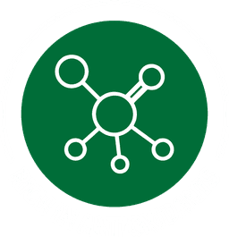 Rich in Antioxidants