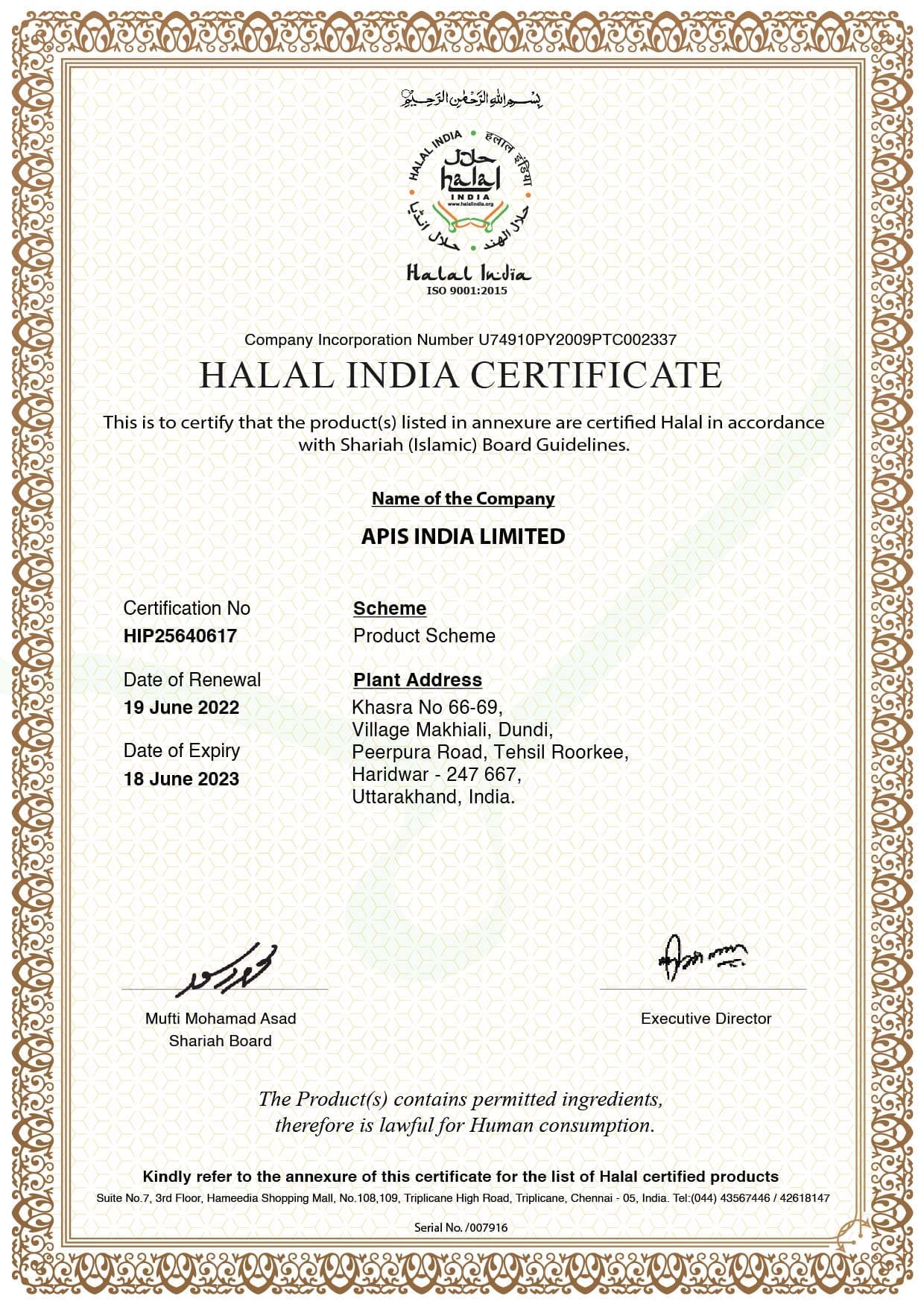 best green tea manufacturing company in india